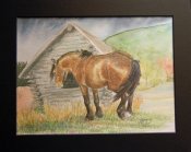 Horseexplore webbutik Det fläktar så skönt akvarell av Anette Kynman 2001