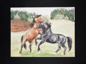 horseexplore hingstbete original akvarell av Anette Kynman