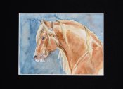 Horseexplore Tejpen akvarellskiss av Anette Kynman
